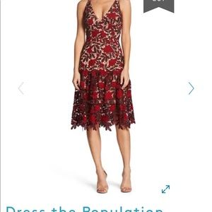 Dress the Population dress